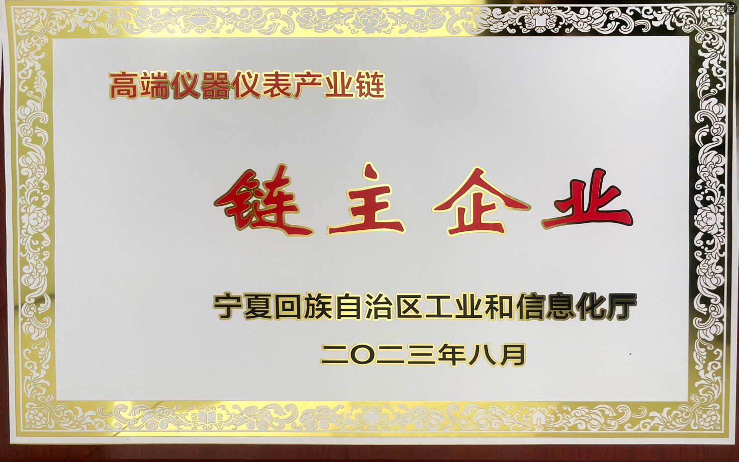 Leading Enterprise of the High-End Instrumentation Industry Chain