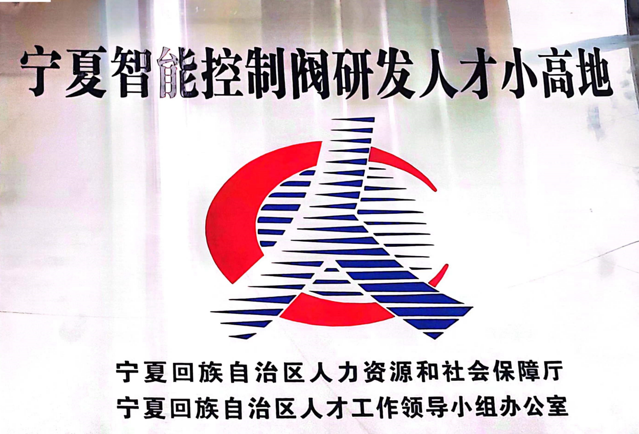 Ningxia Talent Center for Intelligent Control Valve R&D